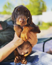 Load image into Gallery viewer, testing for B2B at $0 and a fixed price for B2B customer
